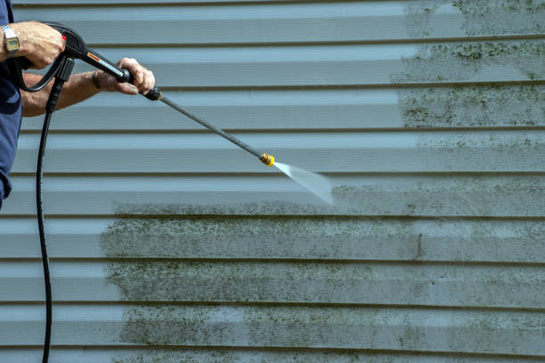 Best Sidewalk and Walkway Cleaning  in Ransomville, NY